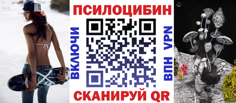 купить наркоту  hydra зеркало  Псилоцибиновые грибы Cubensis  Вытегра 